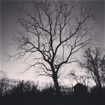 Profile Picture of Kris Vansickle (@black_vine1984) on Instagram