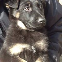 Profile Picture of Beverly Perry Brunty (@beverly-perry-brunty) on Quora