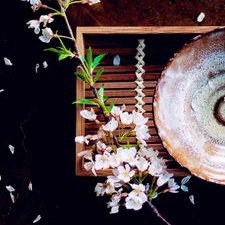 Profile Picture of Lisa Pong (@LisaPong4) on Twitter