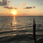 Profile Picture of Byron Newman (@byronnewman9) on Instagram