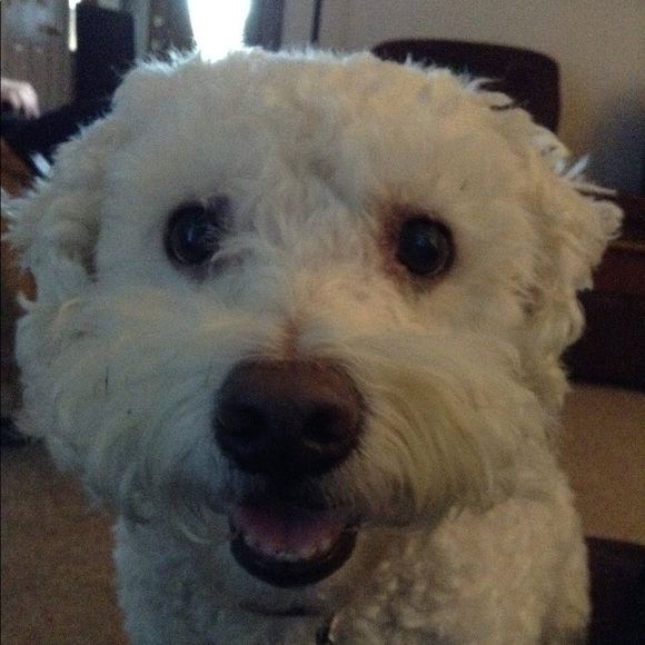 Profile Picture of Christy Cornatzer (@cornatzer_06) on Poshmark