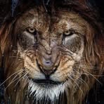 Profile Picture of Donatello Andrews (@donatello.andrews) on Facebook