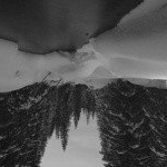 Profile Picture of ALVA (@scurlockjocko271) on Instagram