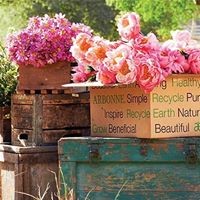 Profile Picture of Shani Neuhoff (@shani-neuhoff) on Quora