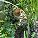 Isidra Chavez Yates - Instagram Profile Picture of Isidra Chavez Yates (@isidra_chave) on Instagram