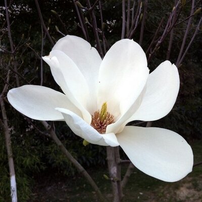 Profile Picture of Andy Zou (@zou_andy) on Twitter