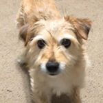 Profile Picture of robert_jakeway (@robert_jakeway) on Instagram