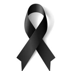 Profile Picture of luciagurrola23 (@luciagurrola23) on Tiktok