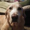 Profile Picture of Tony Hoffmann (@@tonyhoffmann3) on Tiktok