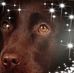 Profile Picture of Joanne Hook (@Joanne-Hook) on Facebook