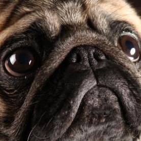 Thomas Lim - Facebook Profile Picture of Thomas Lim (@mono.lm.50) on Facebook