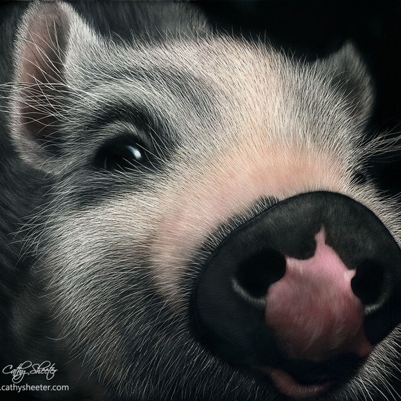 Profile Picture of Cathy Sheeter (@crias) on Poshmark