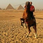 Profile Picture of Mohamed Zayed (@moezayed) on Instagram