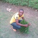 Profile Picture of john swarre (@johnswarre) on Instagram