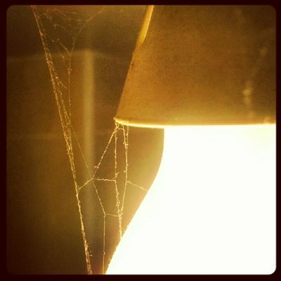 Profile Picture of Luke Gamble (@Luke_Gamble) on Twitter