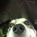 Profile Picture of Erik Hoffman (@erik.hoffman.79230) on Facebook
