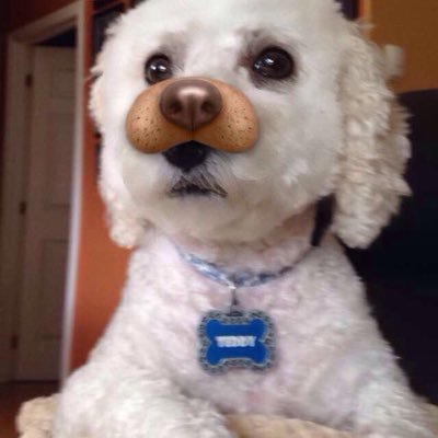 Profile Picture of Jake Coal Rideout (@Jake_Rideout155) on Twitter