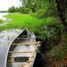 Profile Picture of Tom Hansen (@tomhans) on Pinterest