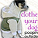 Profile Picture of Rachel Patterson (@poopinoutside) on Flickr