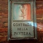 Profile Picture of Kevin Pantera (@kevin.pantera.73) on Instagram