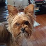 Profile Picture of Matthew Restrepo (@restrepo.matthew) on Instagram