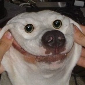 Adam - Twitter Profile Picture of Adam (@AdamKerrigan123) on Twitter