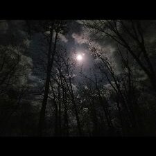 Dylan Ray Richey - Twitter Profile Picture of Dylan Ray Richey (@DylanRayRichey1) on Twitter