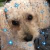 Profile Picture of Robin Campbell (@@robincampbell06) on Tiktok