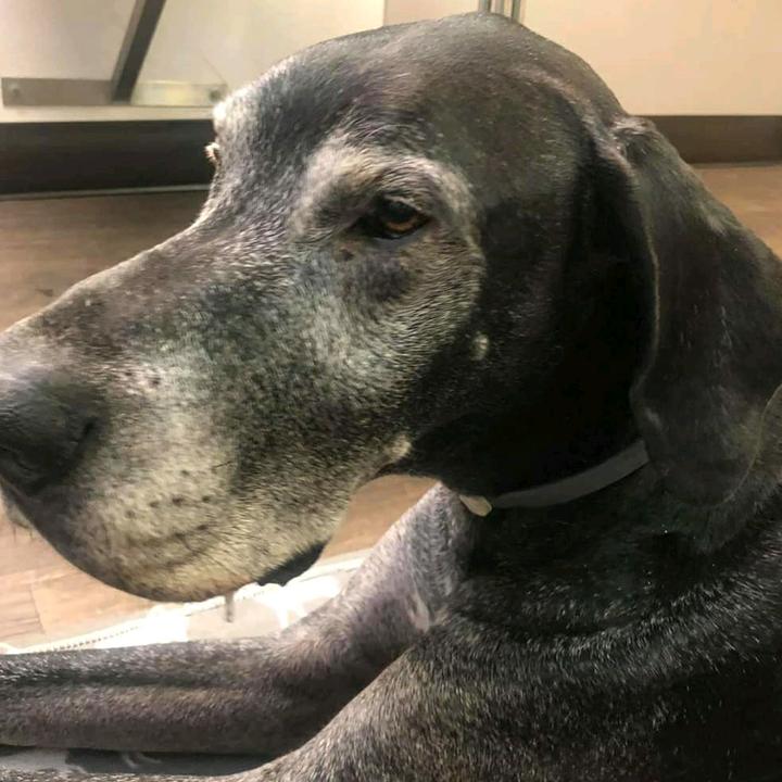 Profile Picture of Codyrogers (@codyrogers16) on Tiktok