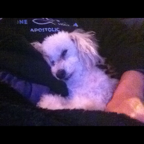 Profile Picture of Ang Pombo (@angelpom) on Poshmark