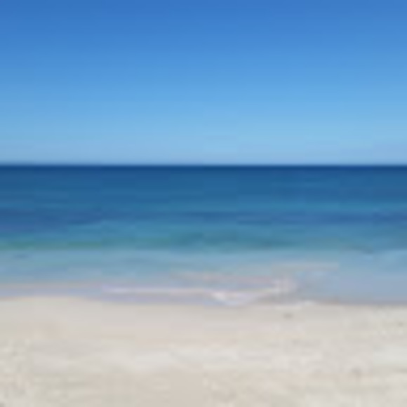 Profile Picture of Lauren Stonehouse (@laurens7975) on Poshmark