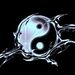 Profile Picture of Bryan Hsu (@bryanhsu00) on Pinterest