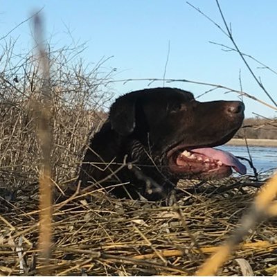 Profile Picture of Drake Key (@JeffWicks2014) on Twitter