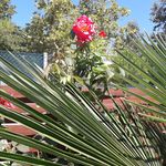 Profile Picture of Antonio Fabbri (@antonio.fabbri.524) on Instagram