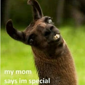 Profile Picture of Travis Schmidt (@travisschmidt6917) on Youtube