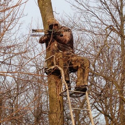Profile Picture of Derek Rieman (@derekrieman55) on Twitter