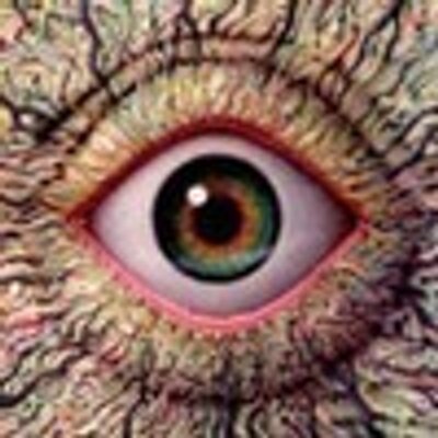 Profile Picture of Robin Tyree (@retyree58) on Twitter