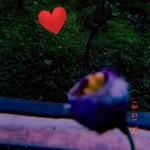 Profile Picture of DFM (@ghjfeii_) on Instagram