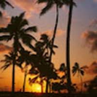 Profile Picture of Michael Benike (student) (@michael-benike-student) on Quora