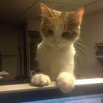 Profile Picture of Edwin Walker (@edwinnwalker) on Flickr