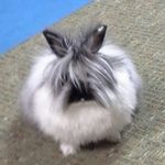 Profile Picture of Deborah Pollack (@rkymtnpol) on Instagram