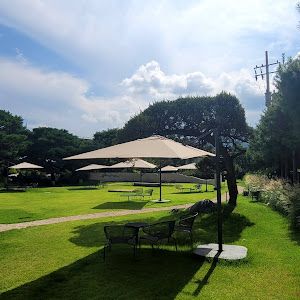 Profile Picture of Albert Park (@albert.park05) on Tiktok