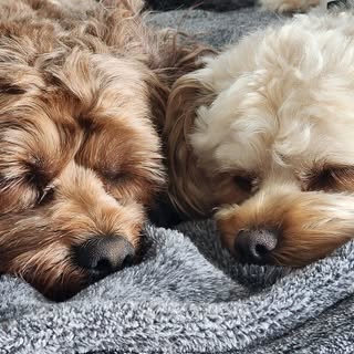 Chris Couch - Instagram Profile Picture of Chris Couch (@couch_christopher) on Instagram