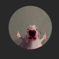 Profile Picture of Kyle Baker (@KyleBak12546654) on Twitter