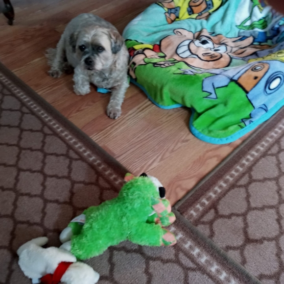 Profile Picture of Norma Tratt (@normajtratt) on Poshmark