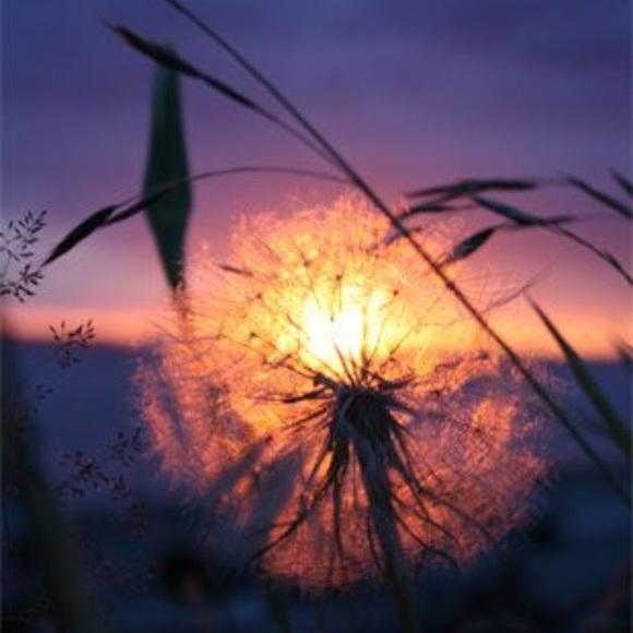 Profile Picture of Minnie Mouse (@minnie_mousey) on Poshmark