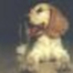 Profile Picture of Francisco Onofre Garcia Nieto (@FRANOFRE) on Flickr