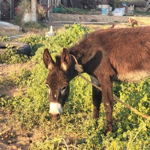 Profile Picture of Ivan Ruiz-pizarro (@mr_width) on Poshmark