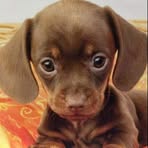 Profile Picture of Alberto Pintor (@alberto.pintor.366420) on Facebook