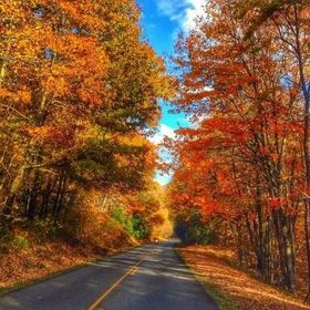 Profile Picture of Travis Johannsen (@travsj) on Pinterest